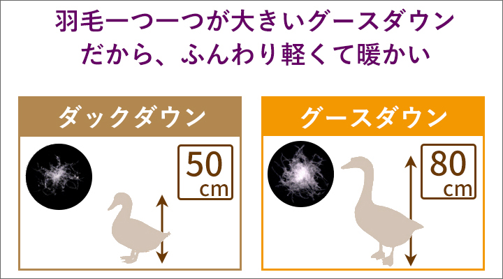 ダウンは羽毛一つ一つが大きいグースダウンを使用。ふんわり軽くて暖かい!