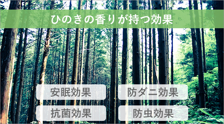 ひのきの香りが持つ多くの効果。快適な毎日に導いてくれます。
