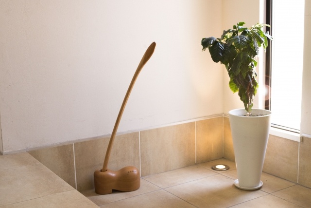 玄関に観葉植物を置いてナチュラルさをプラス